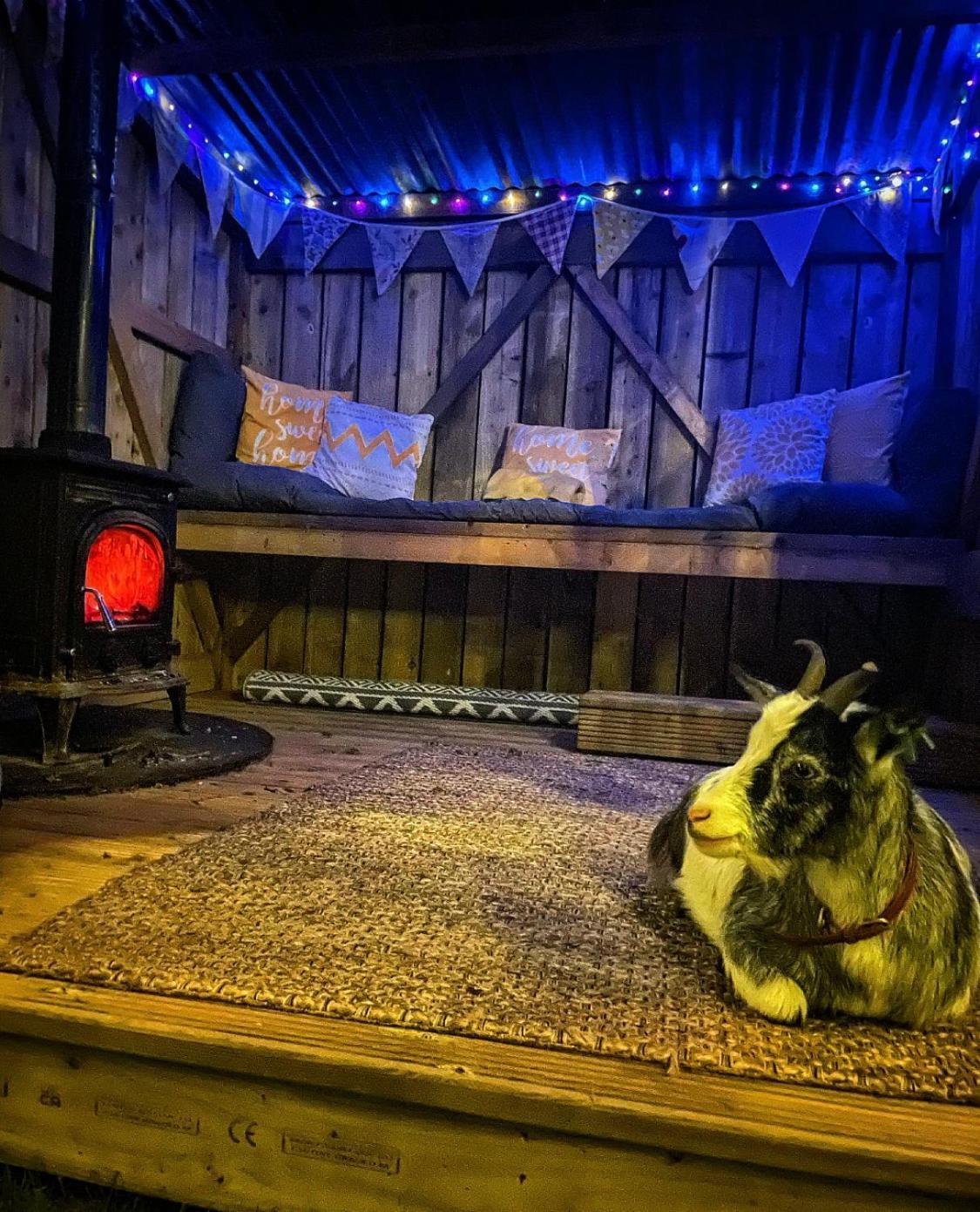 فندق North Yorkshire Horse Box المظهر الخارجي الصورة