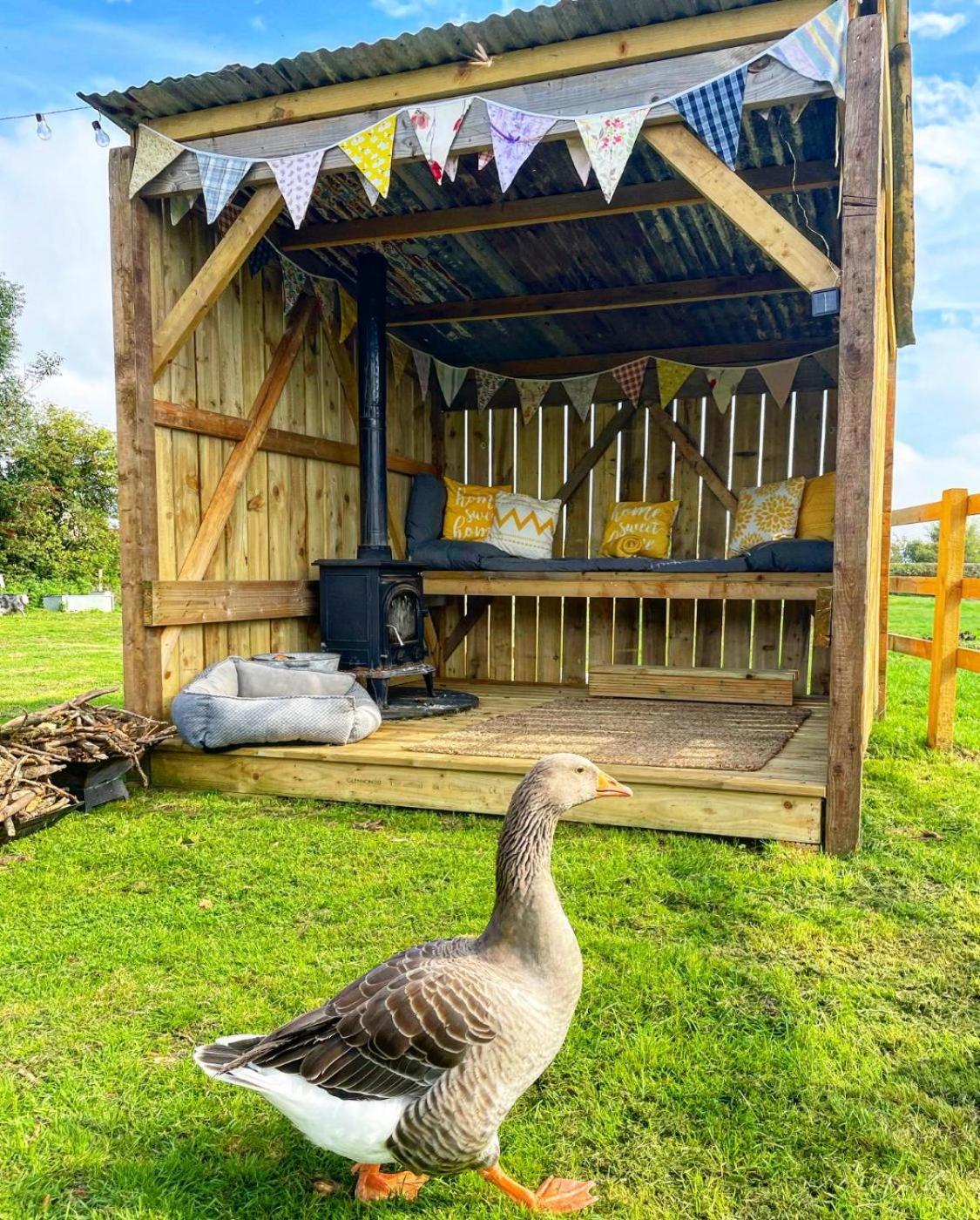 فندق North Yorkshire Horse Box المظهر الخارجي الصورة